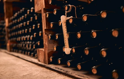 Oczekiwane zbiory winogron na poziomie ponad 100 tys. ton., a koszty produkcji wina wzrosły nawet o 35%