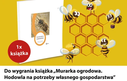 20 maja obchodziliśmy światowy dzień pszczół. Przypominamy o konkursie!