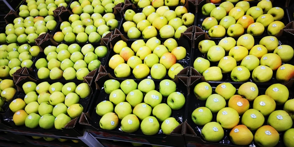Eksport polskich jabłek: większy popyt, mniej owoców dobrej jakości