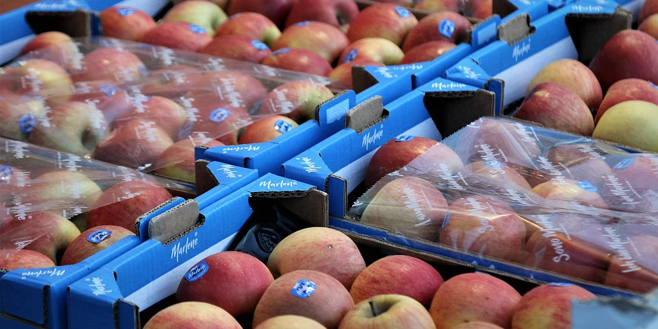 Gruzja: eksport jabłek spadł o 44%, a większość eksportowali do Rosji
