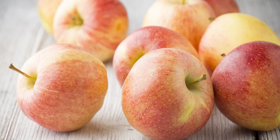 Jabłka JAZZ z Nowej Zelandii ruszają na rynki światowe