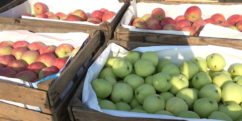 Bronisze: przybywa tegorocznych jabłek, ale brakuje malin. Jakie są ceny owoców?