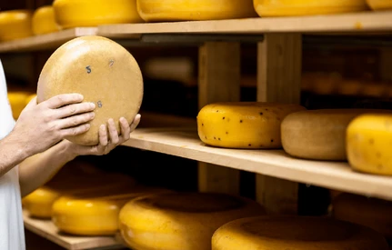 Skradziono ser za 21 tys. euro. To najczęściej kradziony produkt spożywczy na świecie!