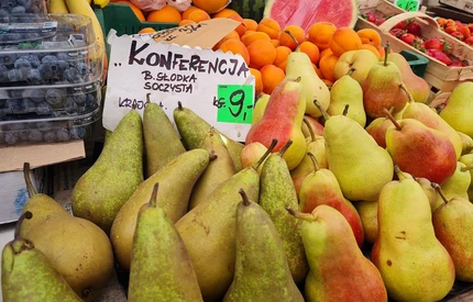 Puls Rynku - Truskawki z Grecji, jabłka za 6 złotych. Jak wygląda sytuacja na rynkach detalicznych?