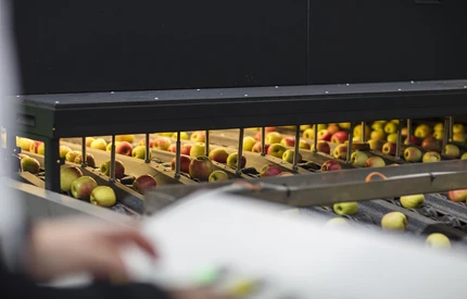 Mechanizm – Nadzwyczajna pomoc dostawcza dla producentów jabłek, został uruchomiony!