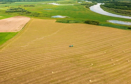 Rolnictwo węglowe sposobem na poprawę urodzajności polskich gleb. Czy to się opłaci?