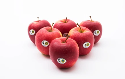 Przepis na sukces w branży sadowniczej czyli o "Jabłkach Grójeckich"