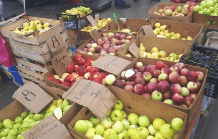 Skup jabłek na Ukrainie poniżej złotówki. Cena dalej spada