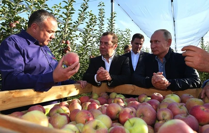 Polskie jabłka nadal owocem zakazanym w Rosji. Putin przedłużył embargo