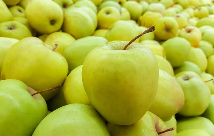 Koncentrat jabłkowy z Mołdawii, trafi na rynek Rosyjski?
