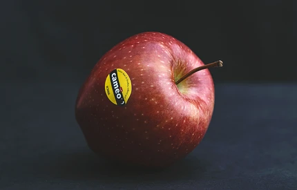 Jabłka klubowe CAMEO® z polskich sadów