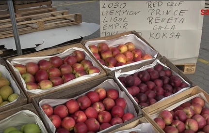 Cena jabłek na Broniszach dużo poniżej oczekiwań. "Przez 2 dni sprzedałem tylko 40 skrzynek"
