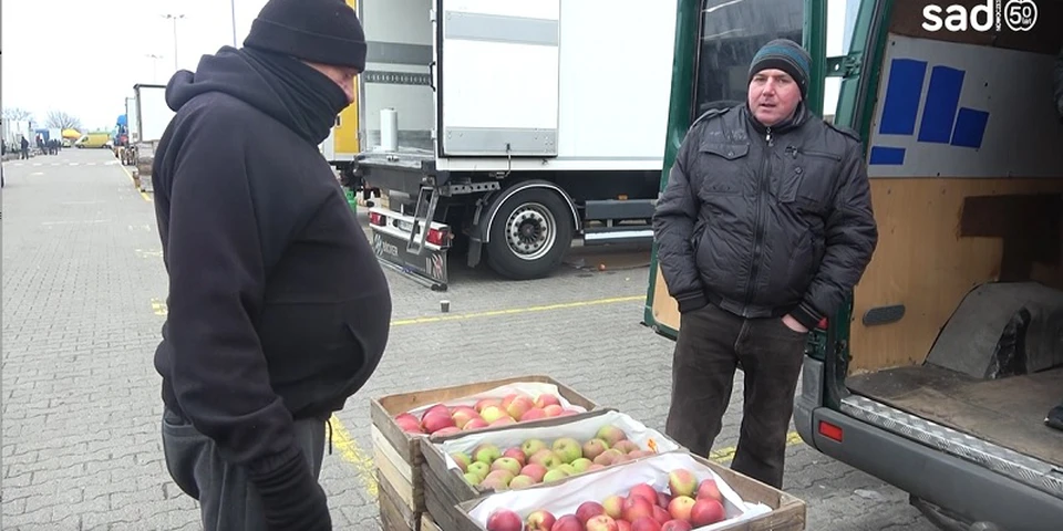 Bronisze: handel jabłkiem uśpiony. "Sprzedaje się za tyle, ile ktoś da"