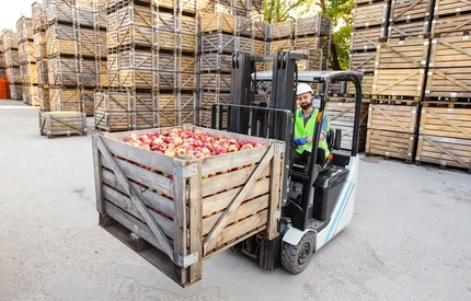 Nadzwyczajna pomoc dla producentów jabłek. Ponad 70% limitu wykorzystane