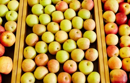 Zablokowanie szlaku transportu lądowego, spowodowało znaczny spadek eksportu jabłek z Mołdawii