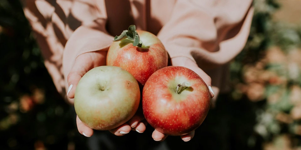 Jak wielka polityka odbija się na produkcji i sprzedaży polskich jabłek?